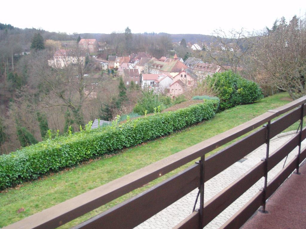 Villa Du Lion D'Or La Petite-Pierre Quarto foto