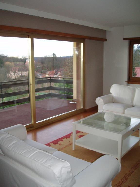 Villa Du Lion D'Or La Petite-Pierre Quarto foto